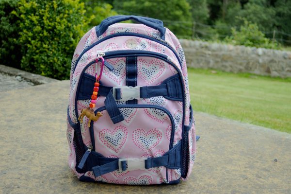 Camel Backpack Clip on Backpack